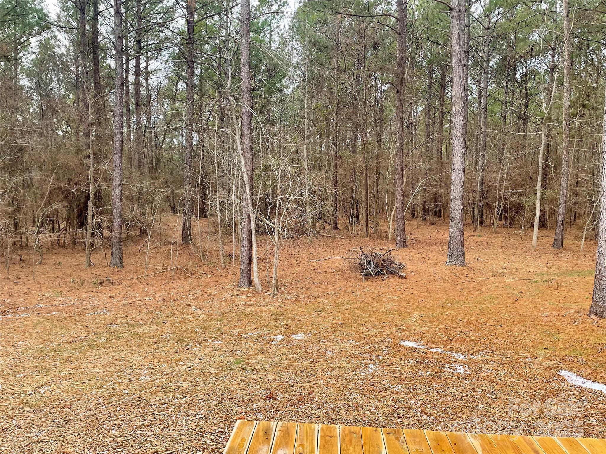 Photo #6
