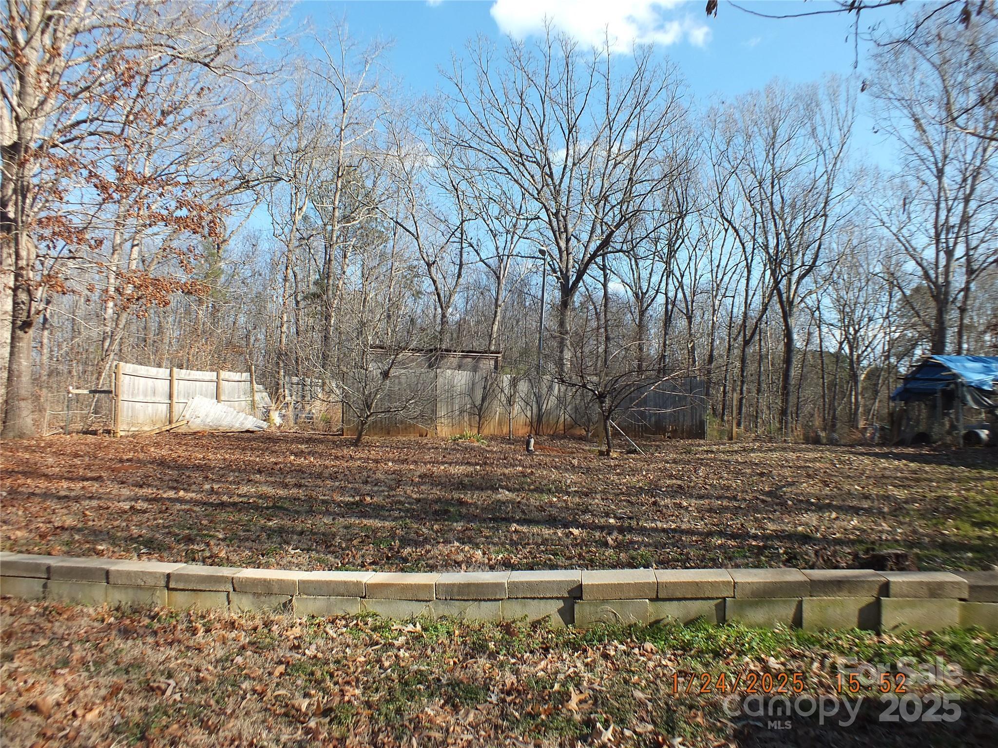 Photo #32