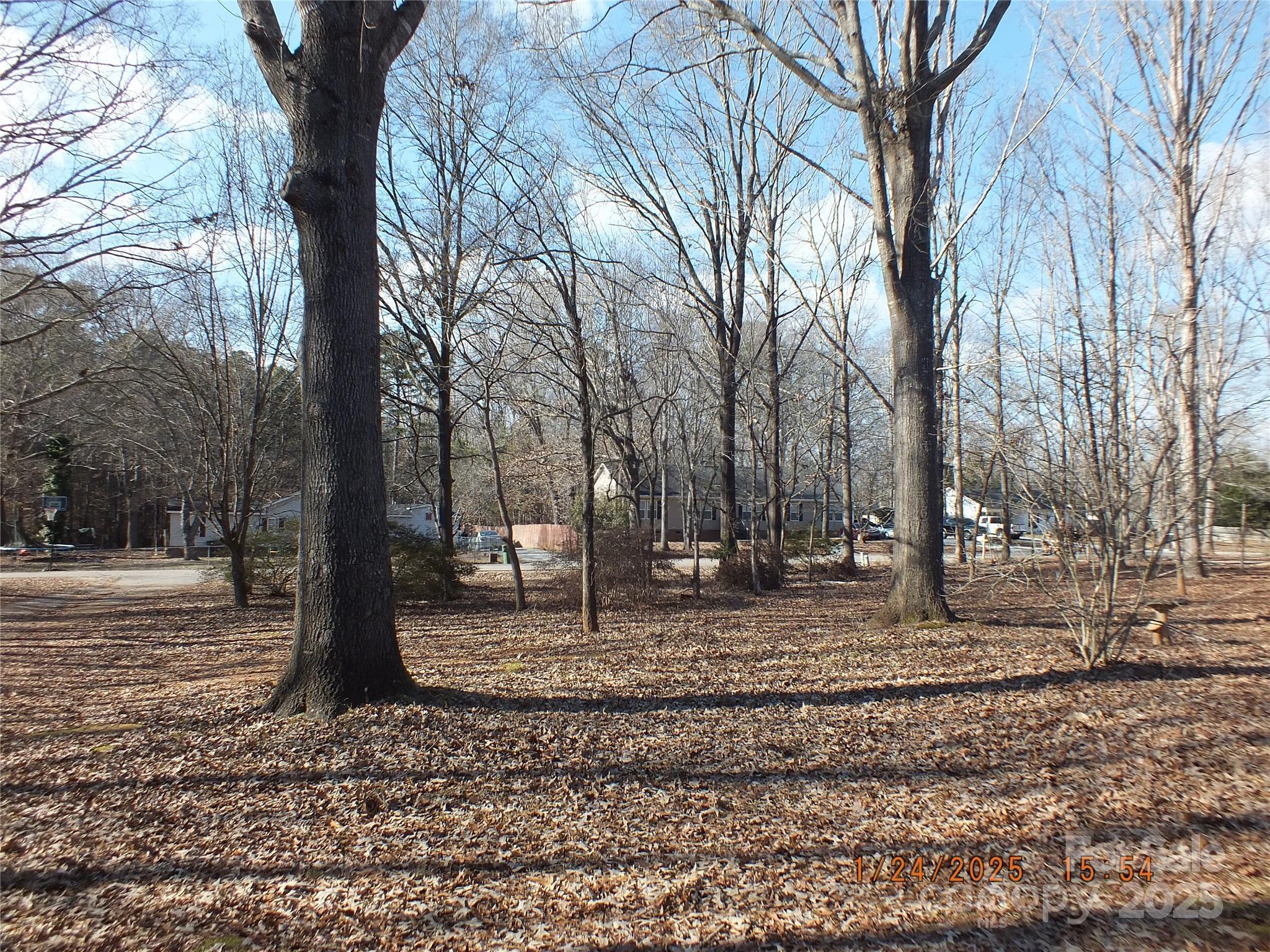 Photo #33