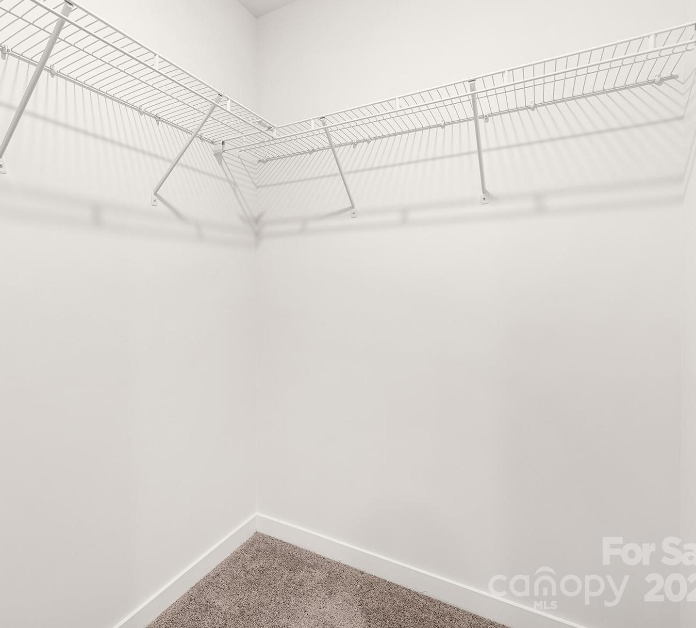 Photo #17