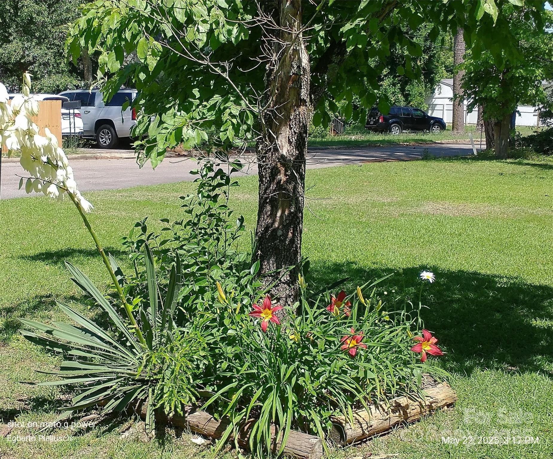 Photo #29
