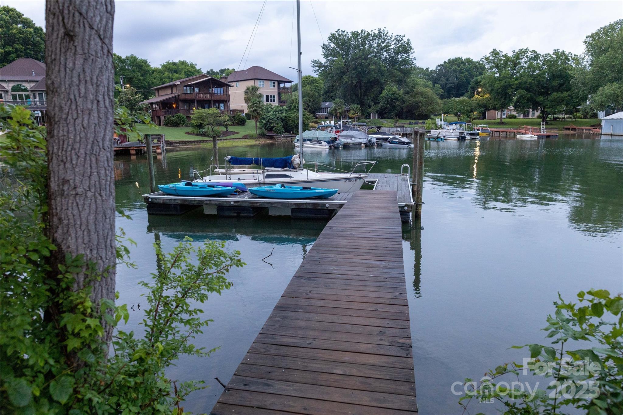 Photo #44