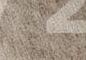 Photo #15