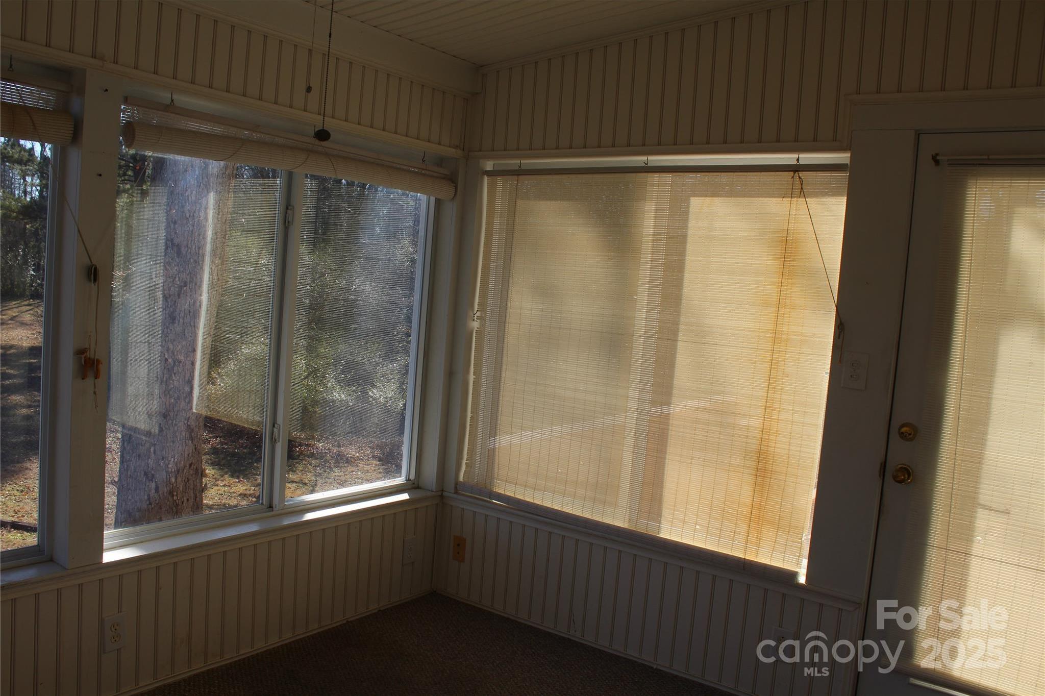 Photo #11