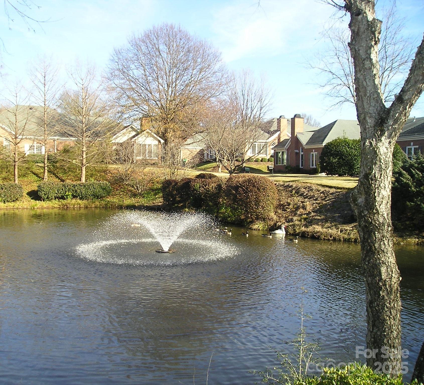 Photo #45