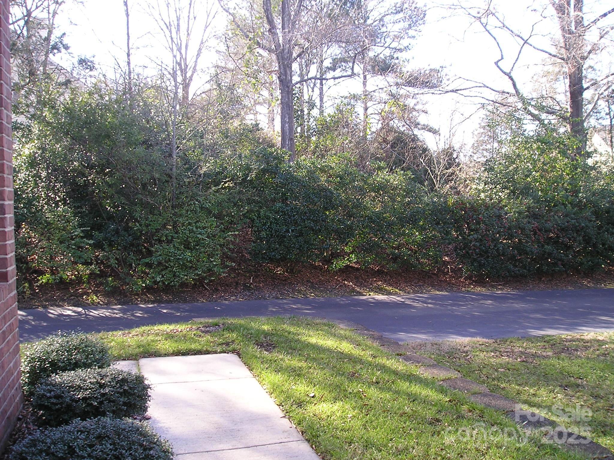 Photo #43