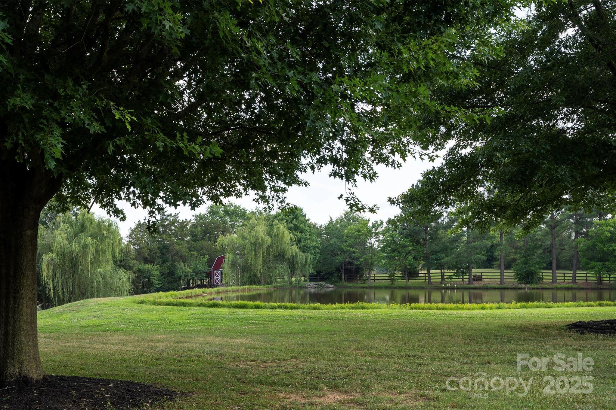 Photo #36