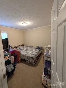 Photo #11
