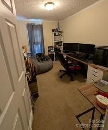 Photo #10