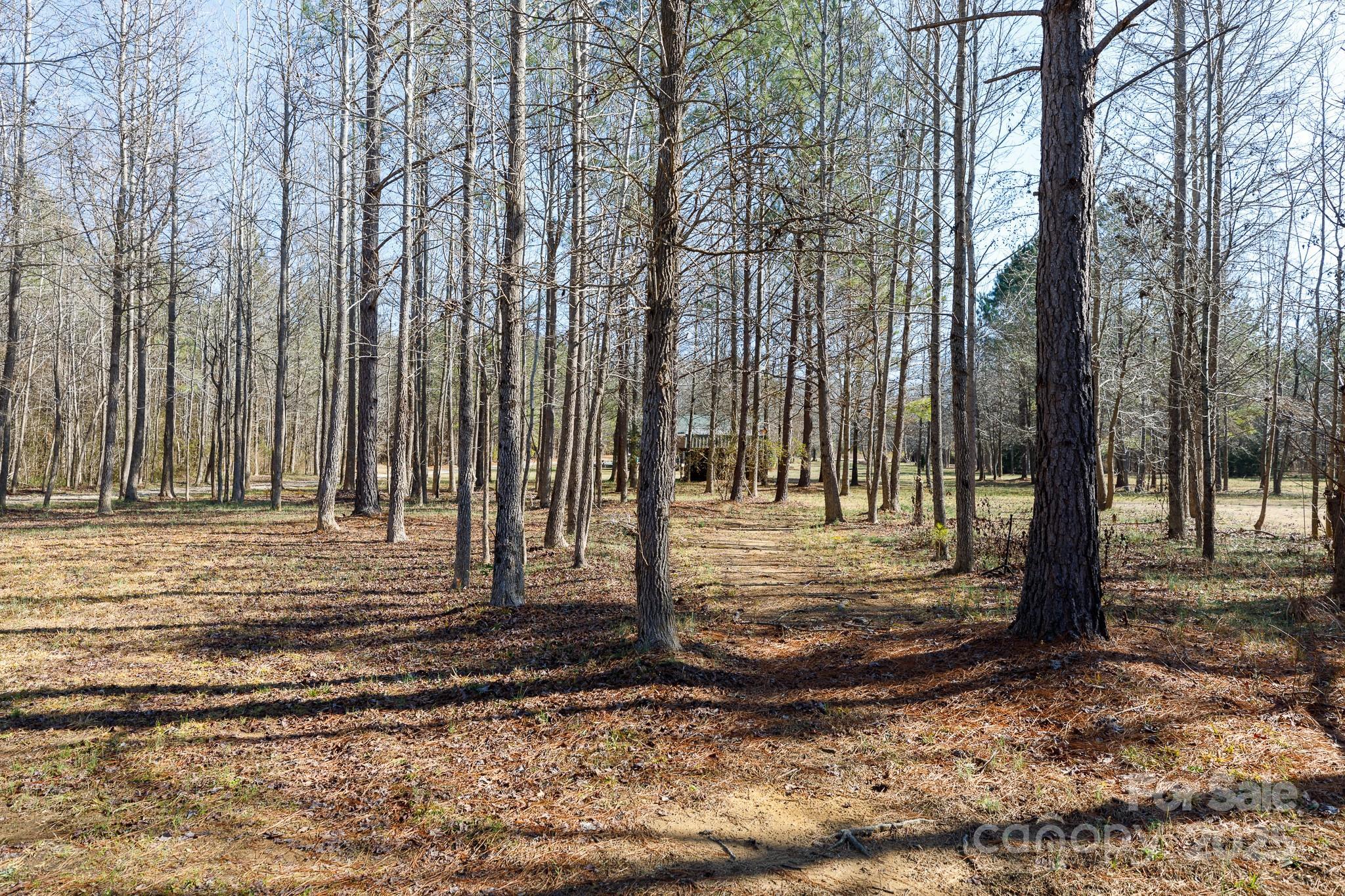 Photo #33