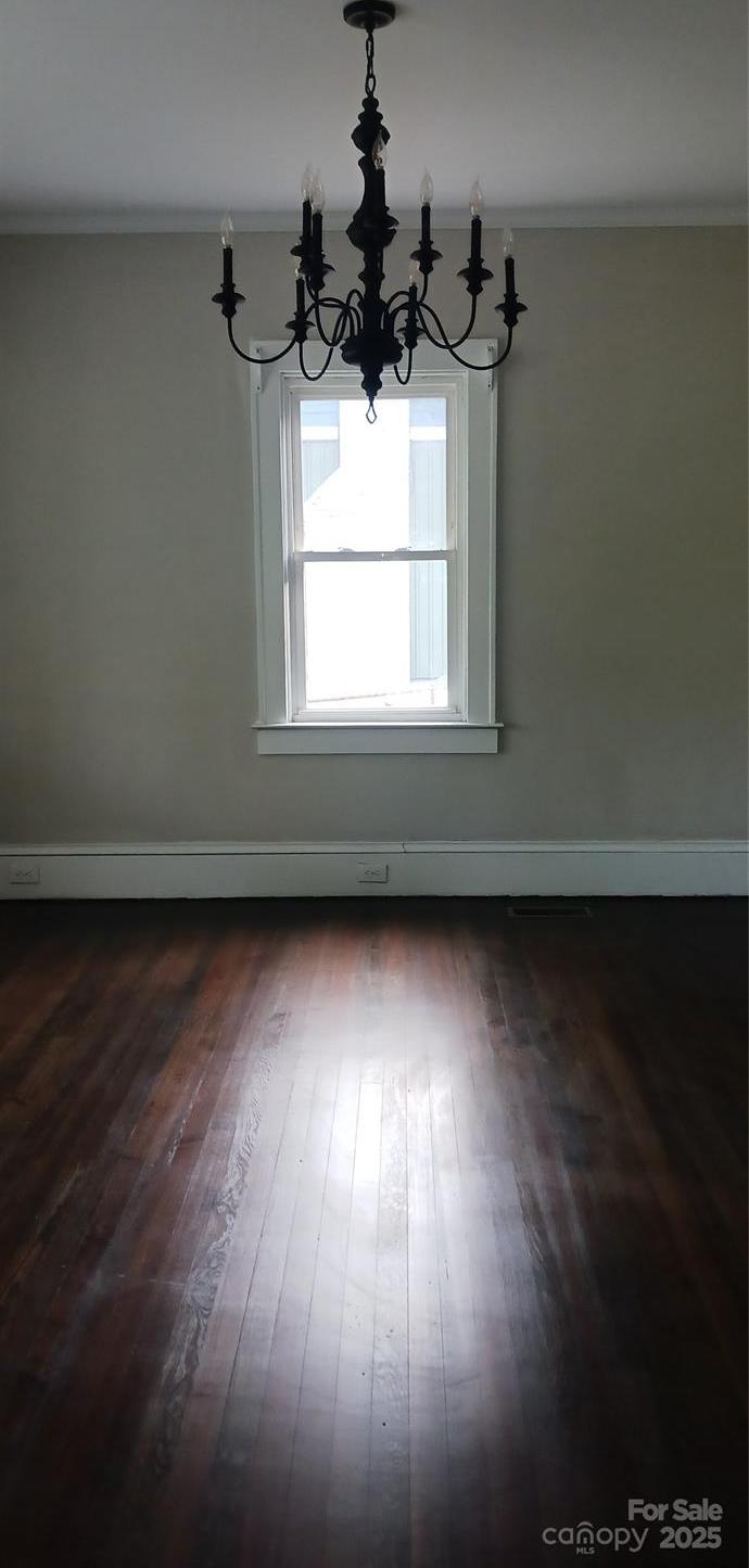 Photo #14