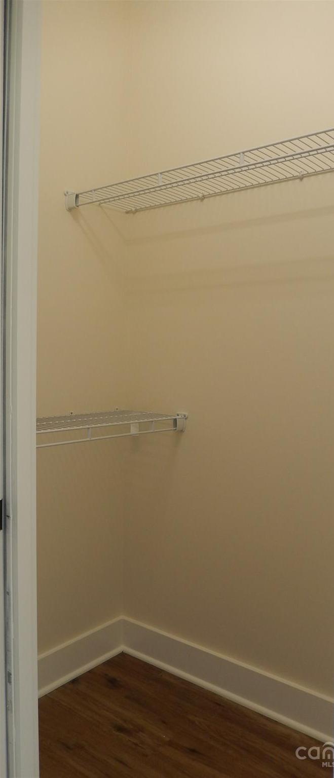 Photo #16
