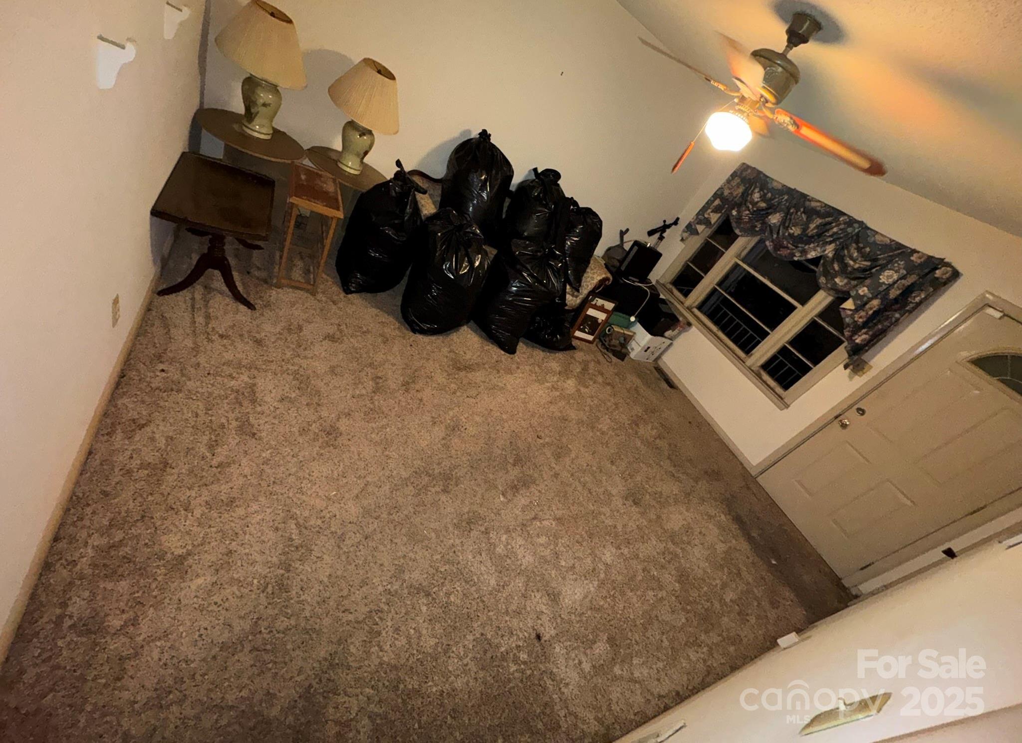 Photo #6