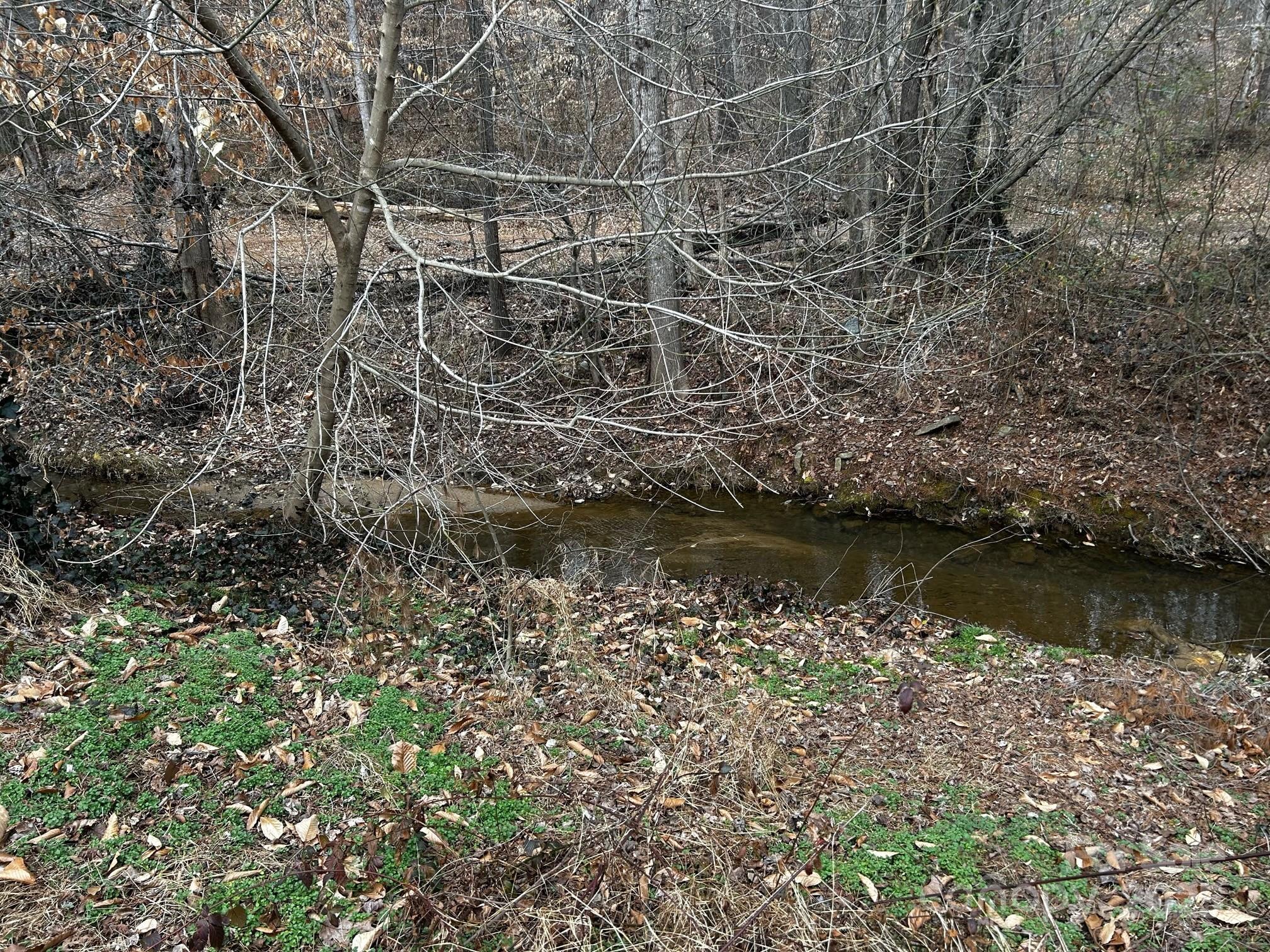 Photo #35