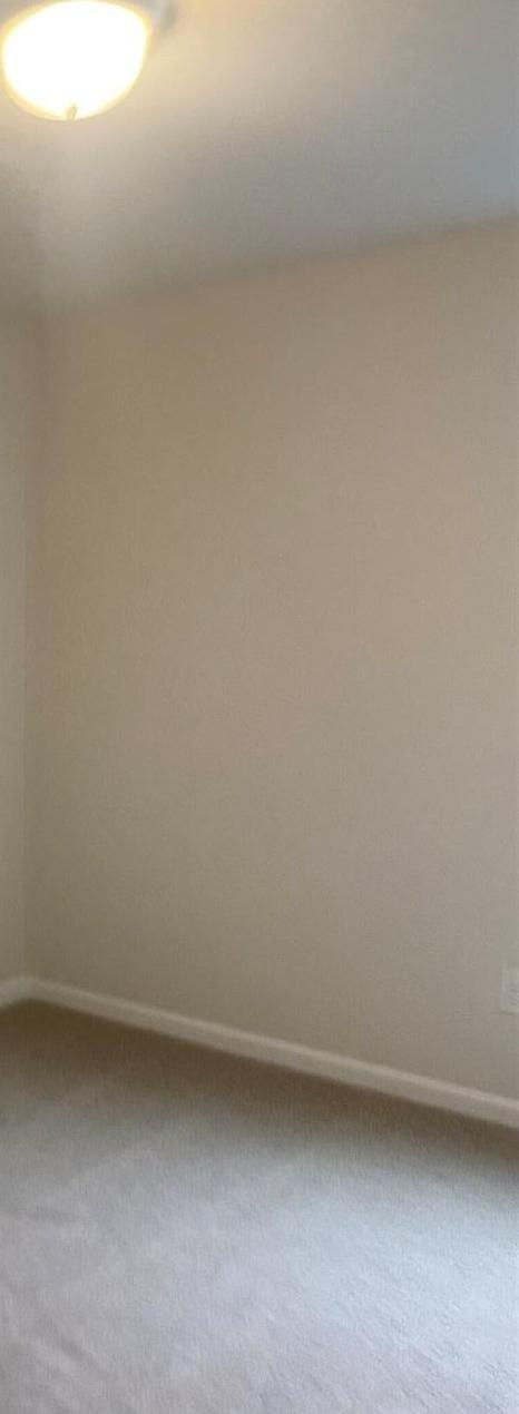 Photo #13
