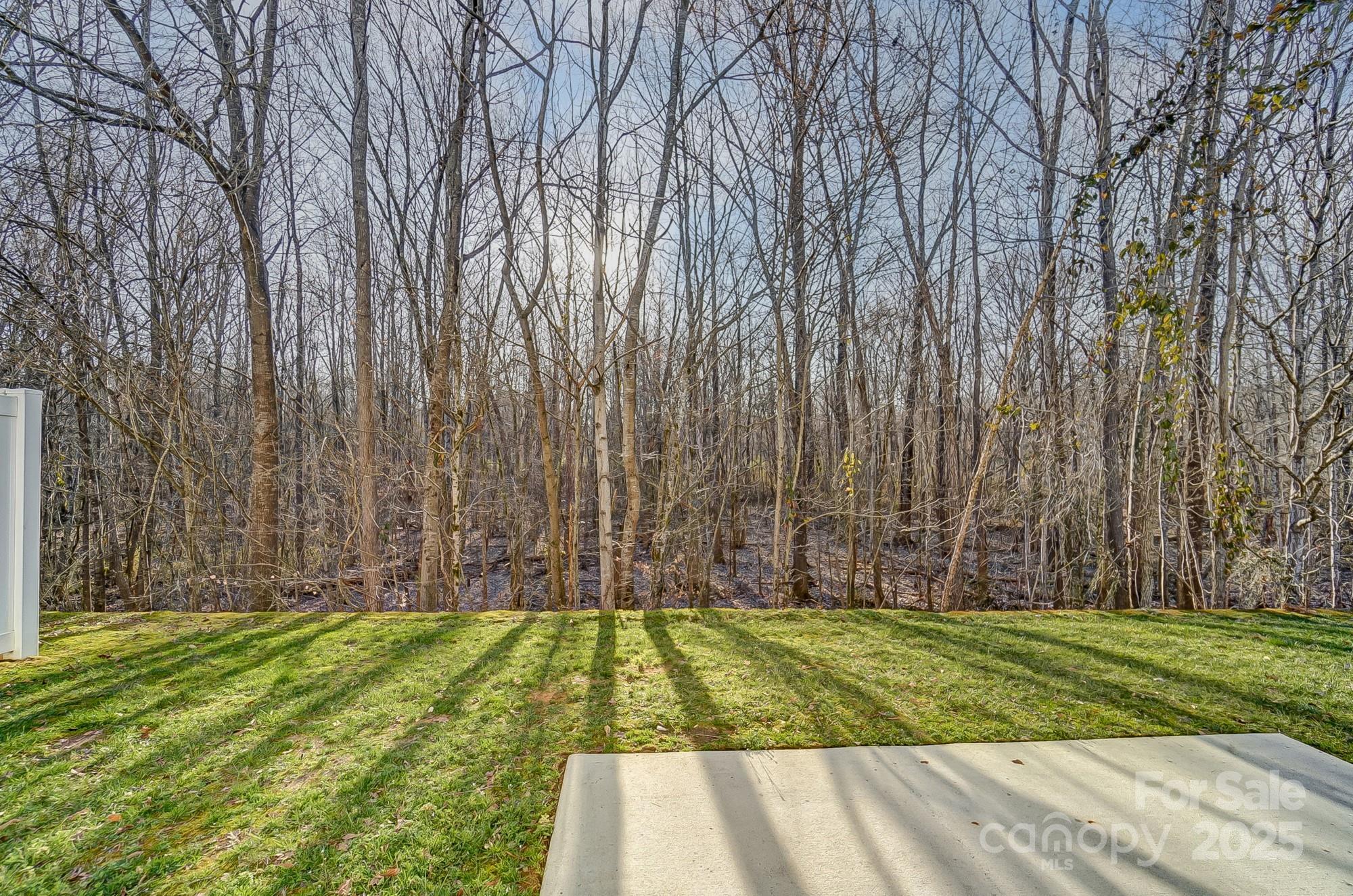 Photo #41