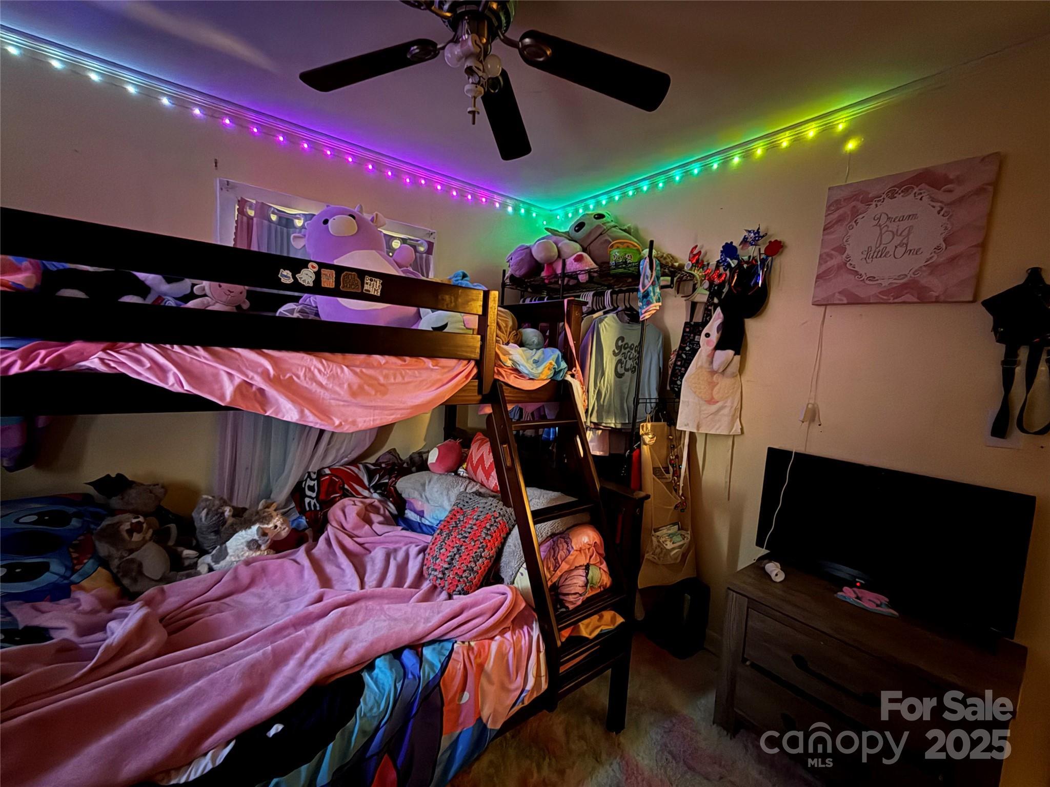 Photo #15
