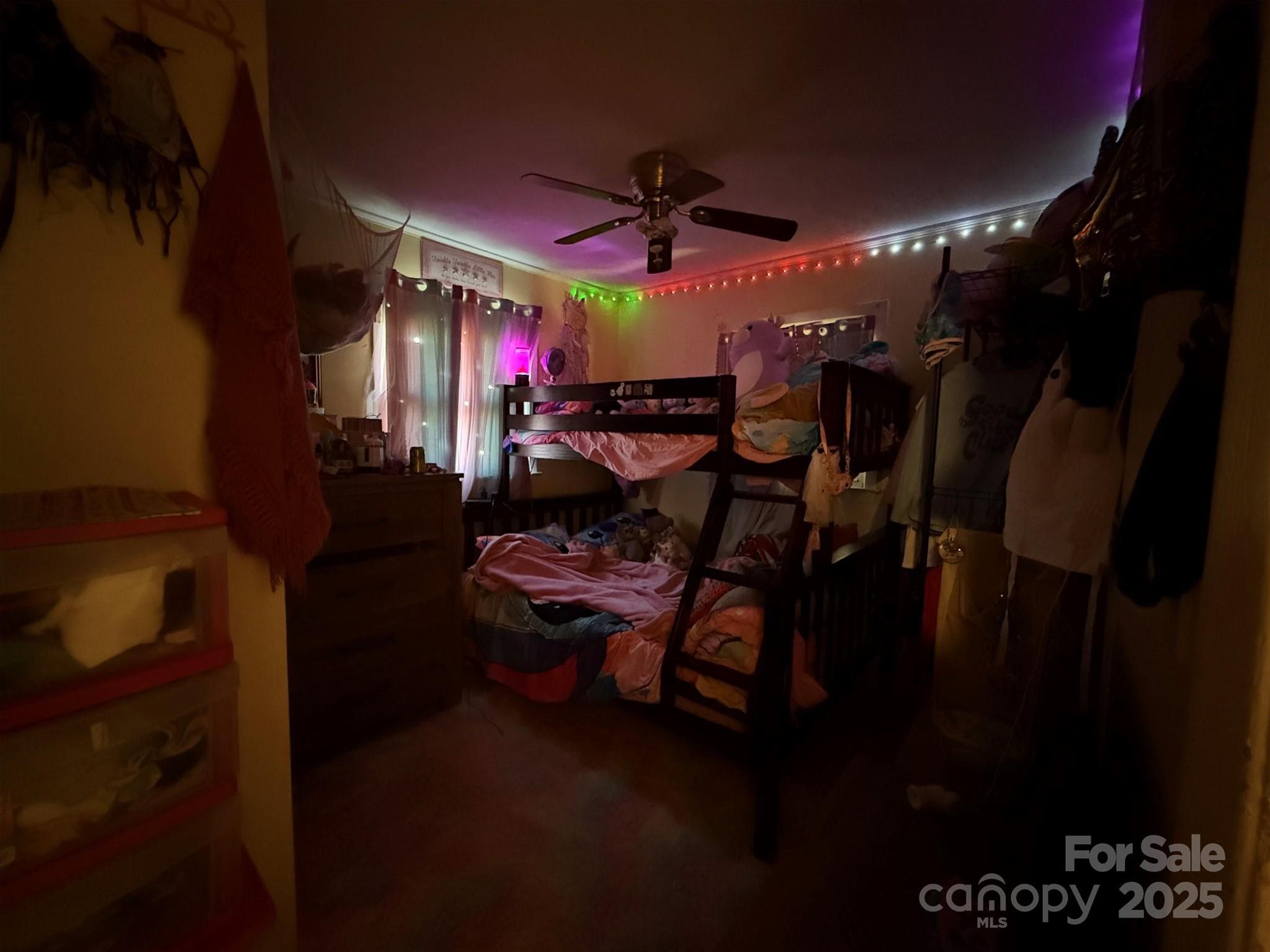 Photo #16