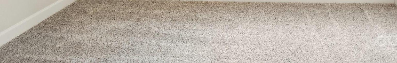 Photo #31