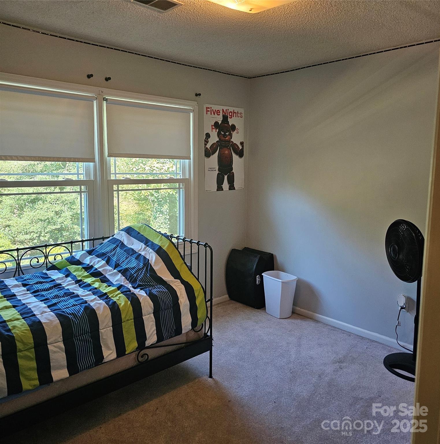 Photo #24