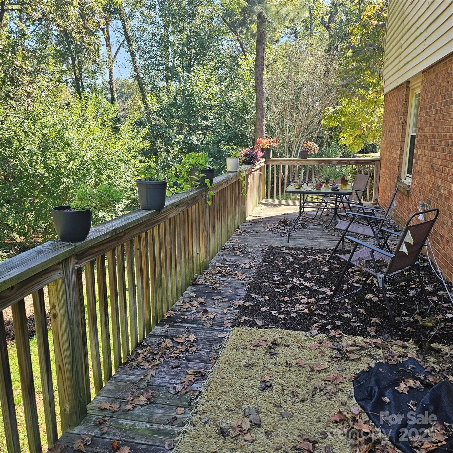 Photo #21