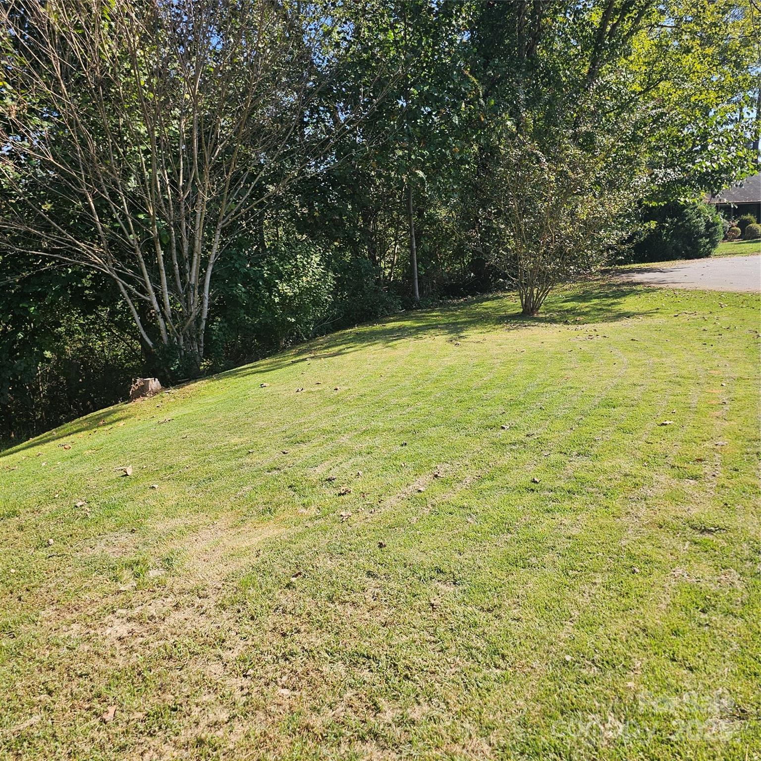 Photo #35