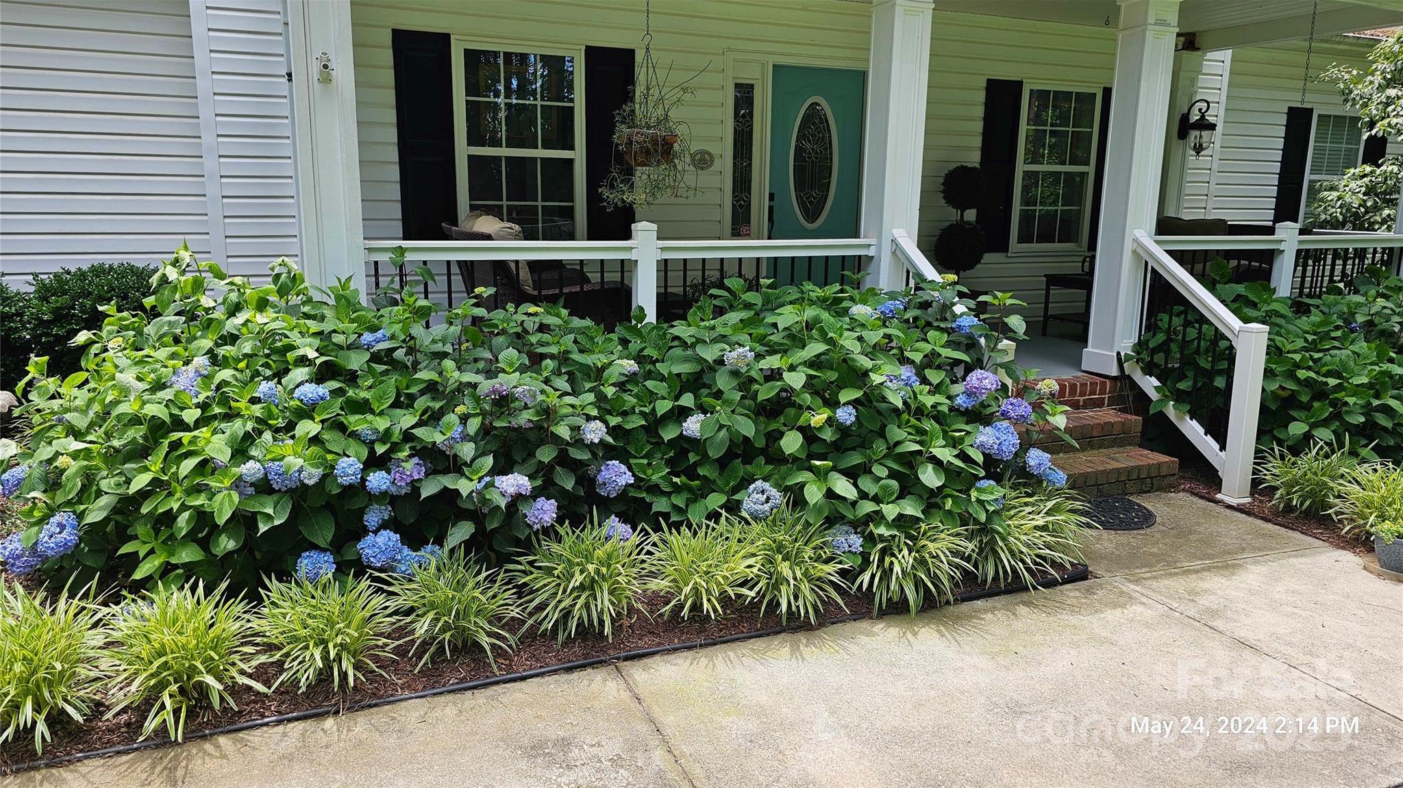 Photo #28