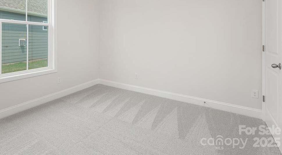 Photo #16