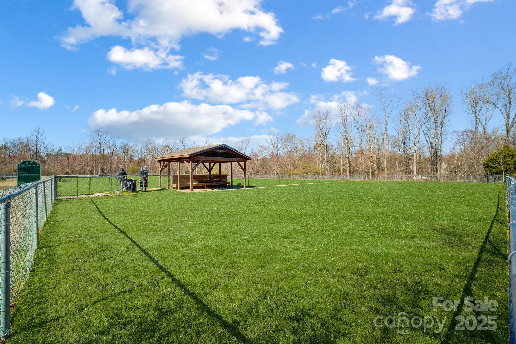 Photo #41