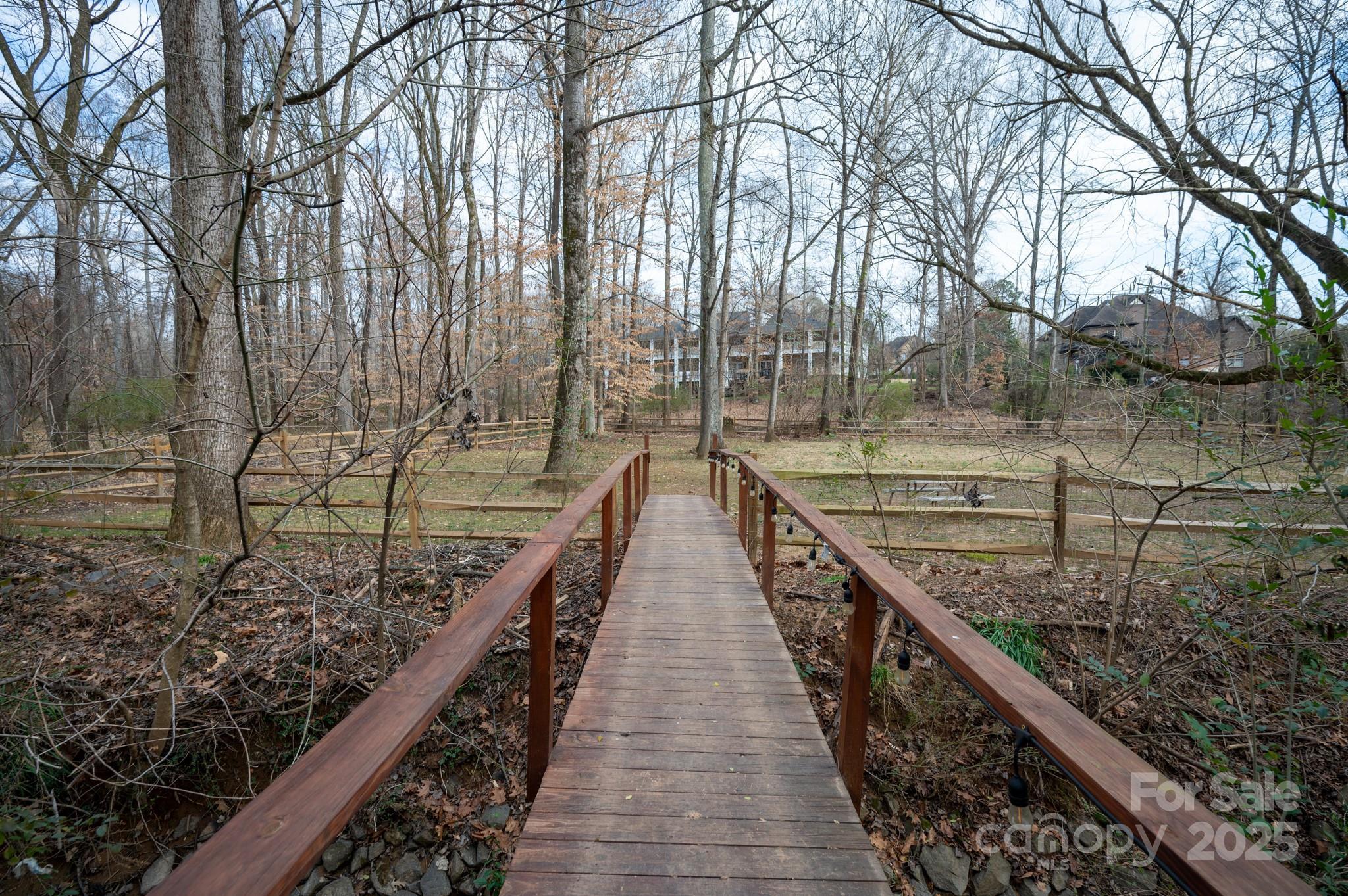 Photo #25