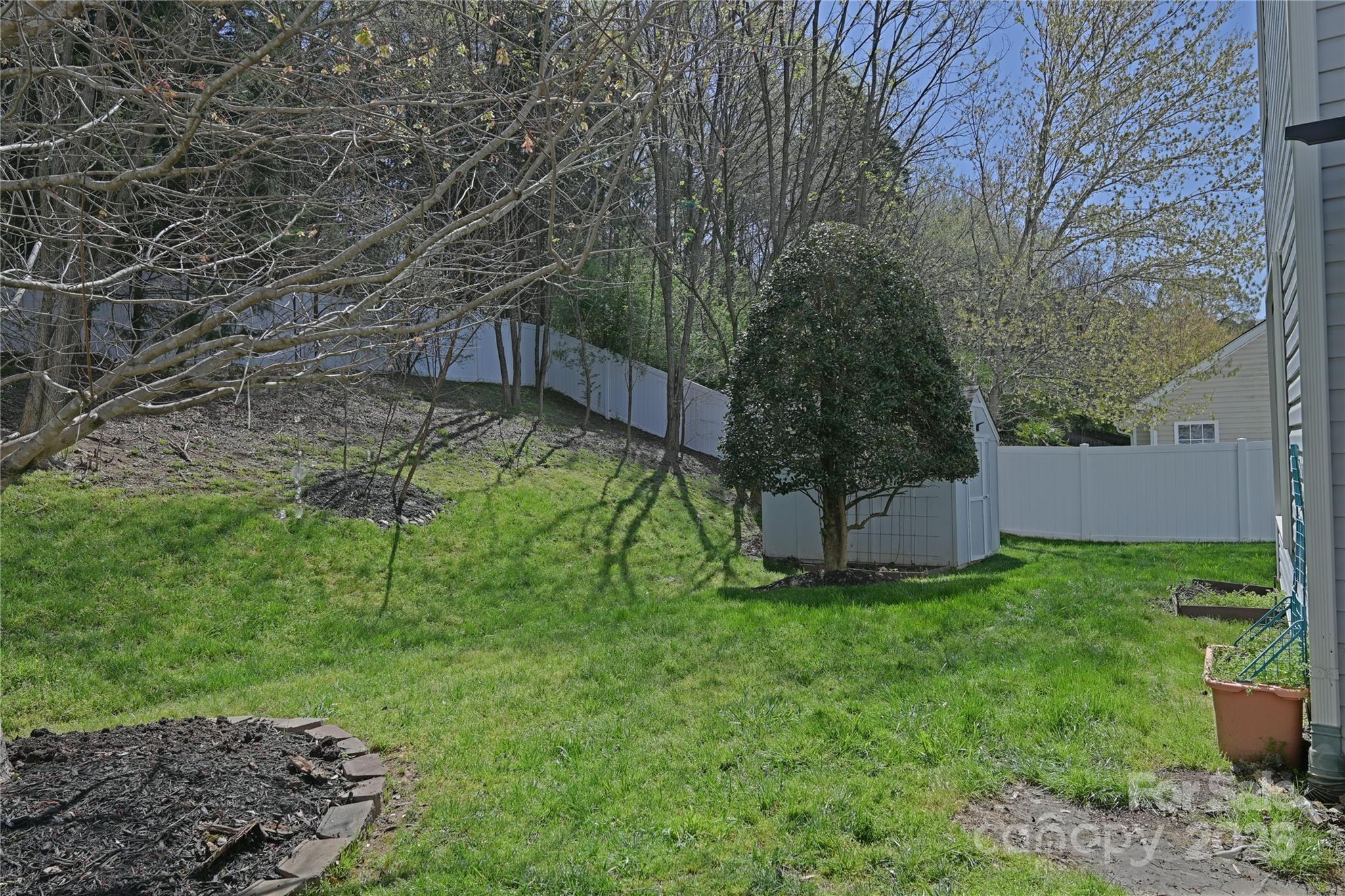 Photo #35