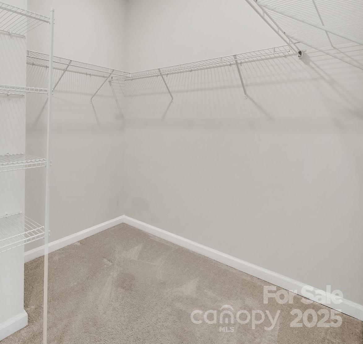 Photo #16