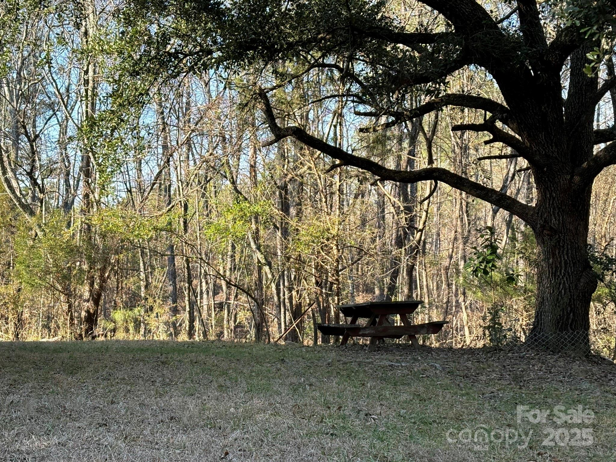 Photo #13