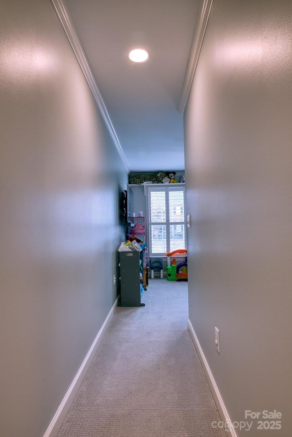 Photo #29