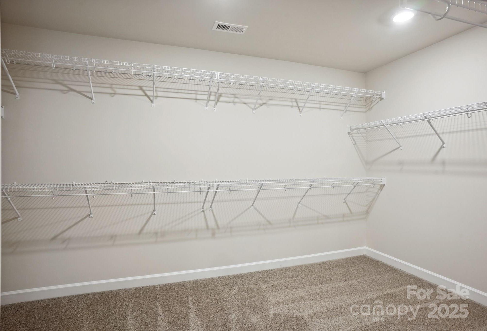 Photo #13