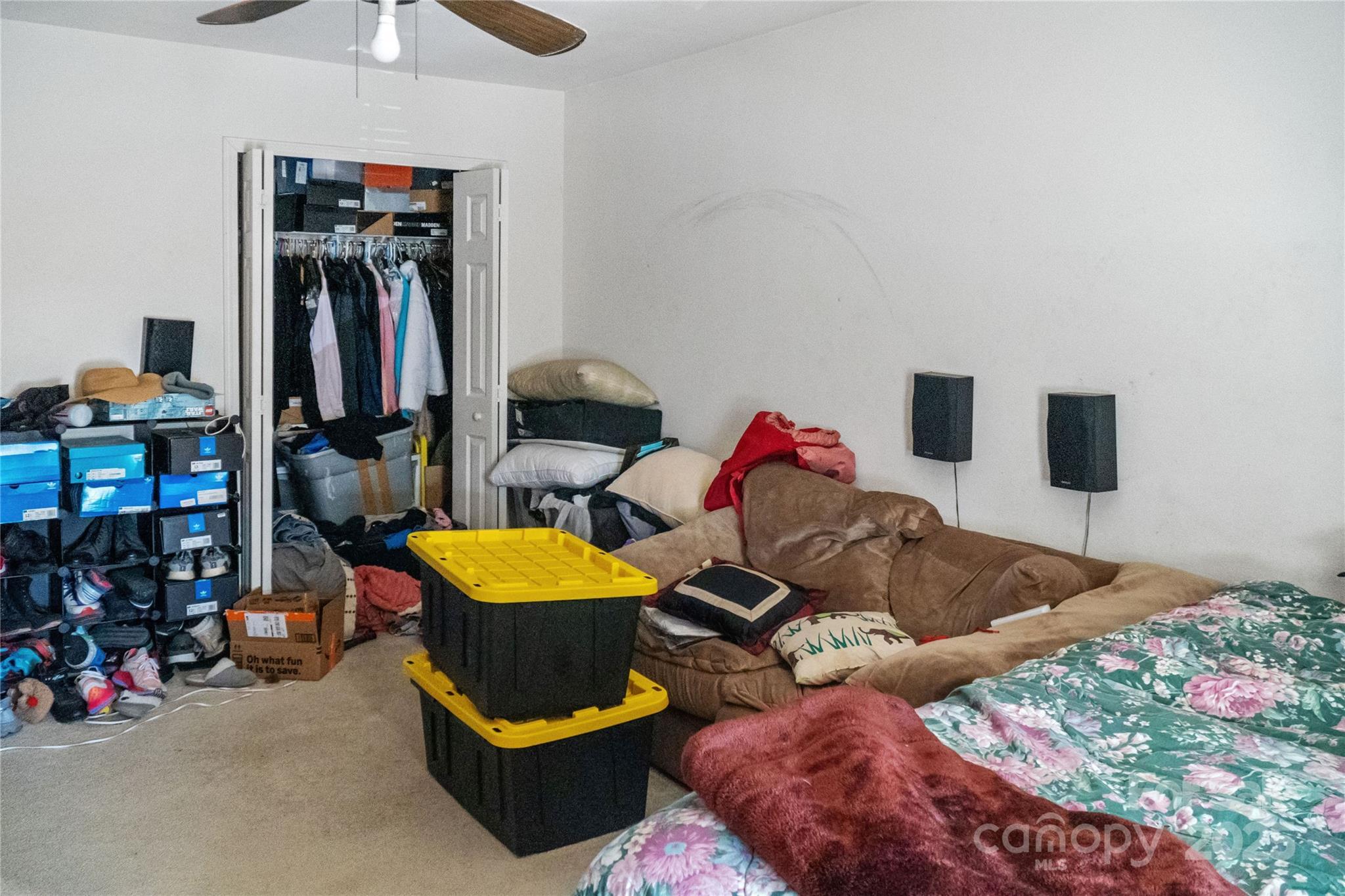Photo #23