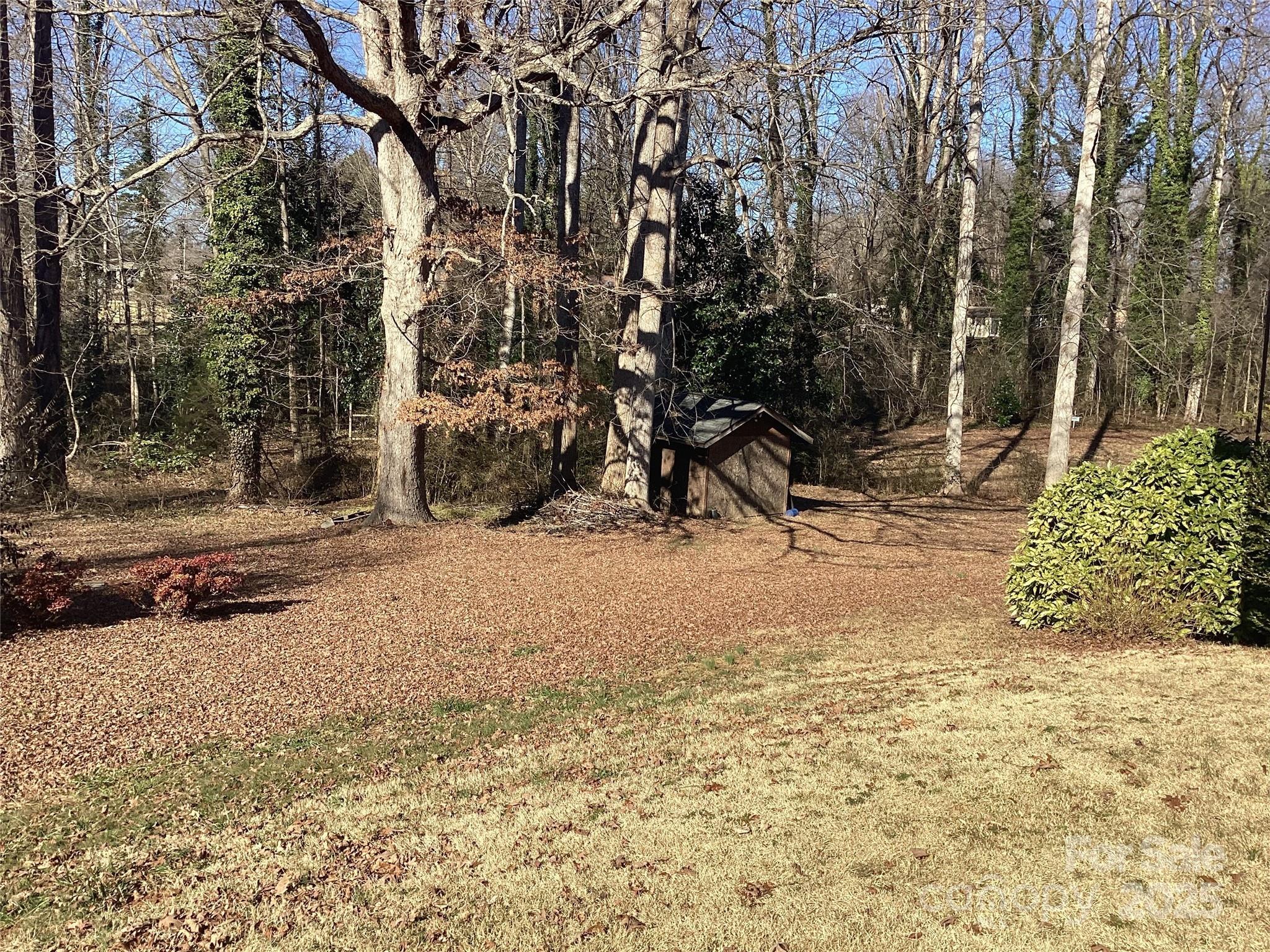 Photo #7