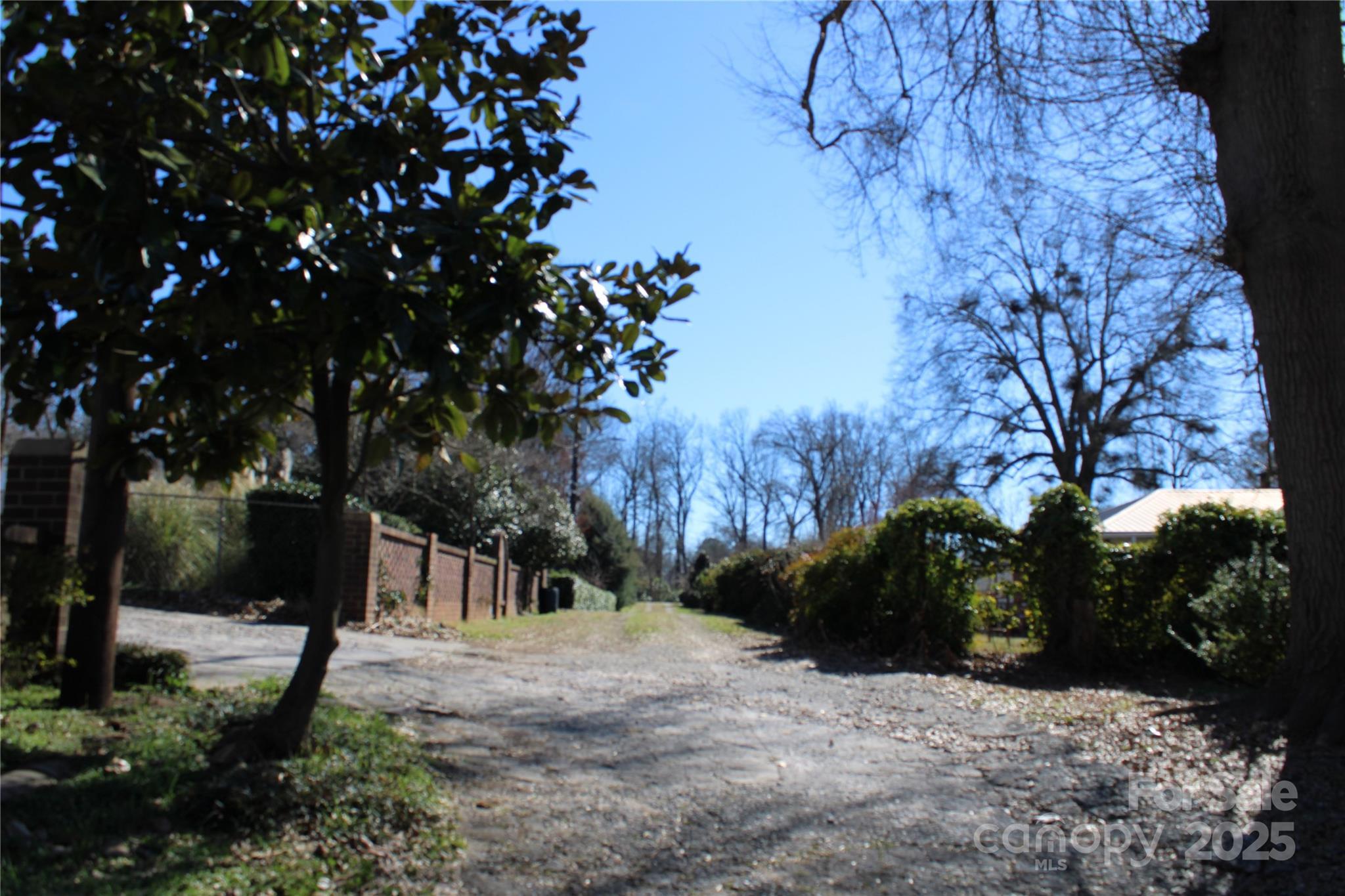 Photo #8