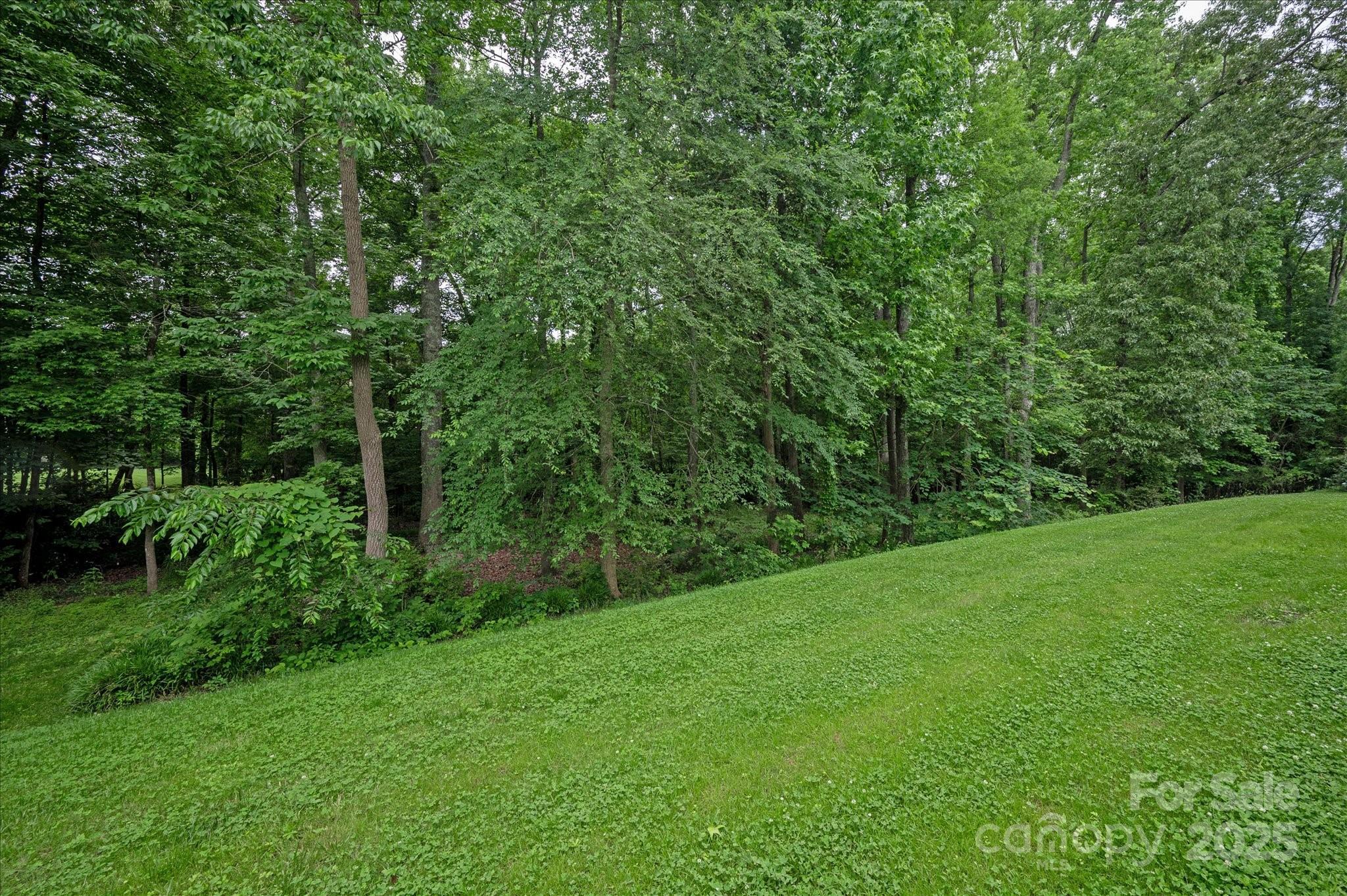 Photo #40