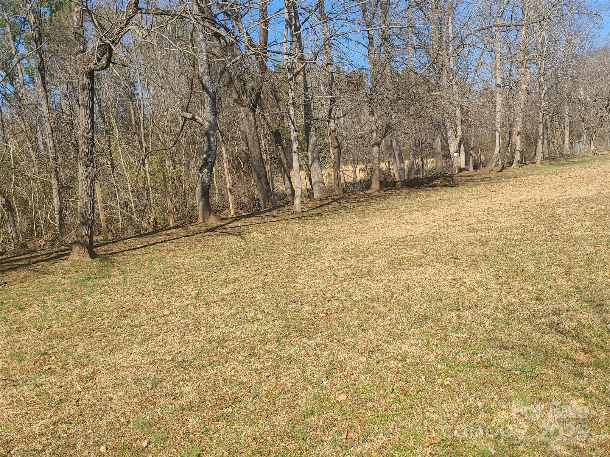 Photo #3