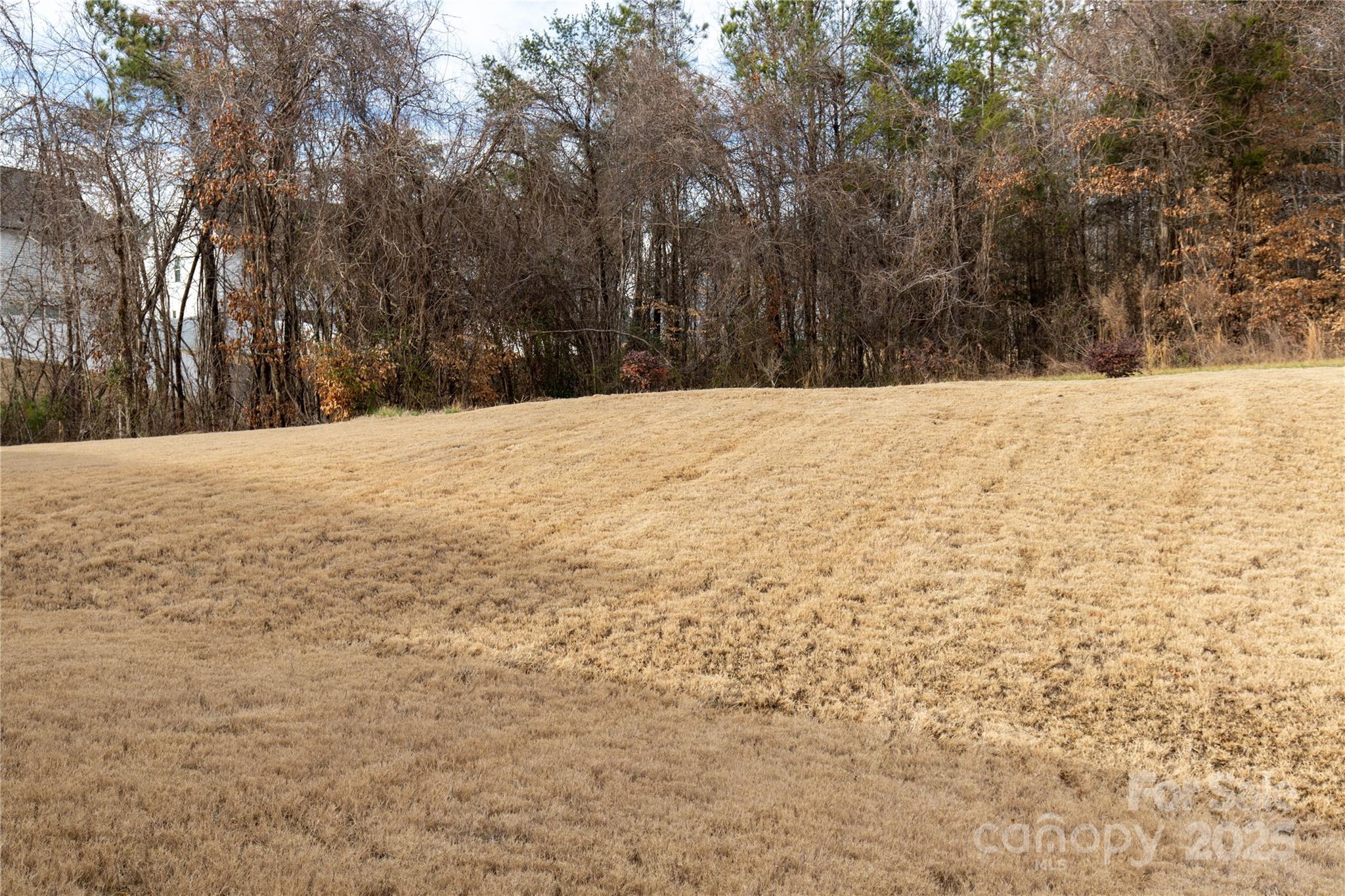 Photo #41