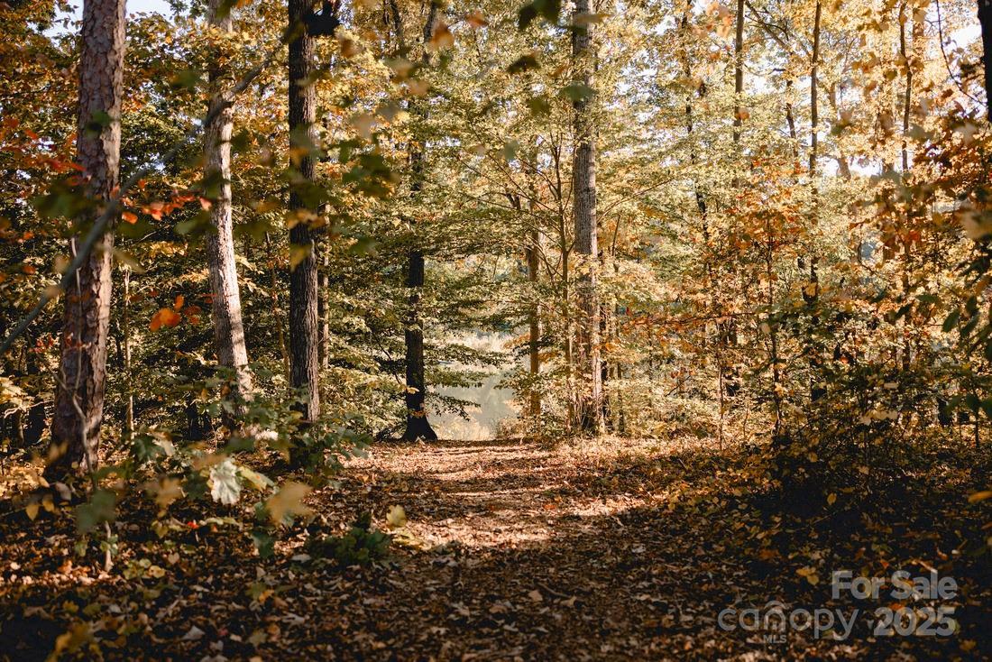 Photo #11