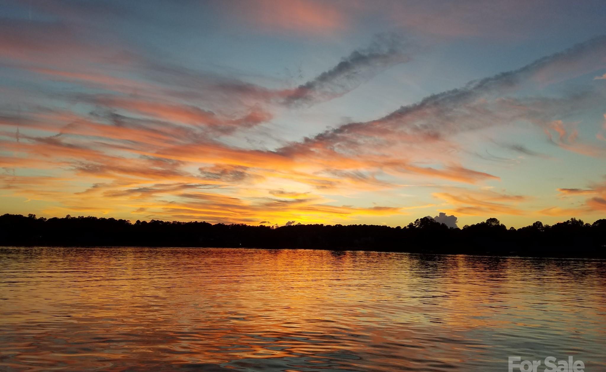 Photo #36
