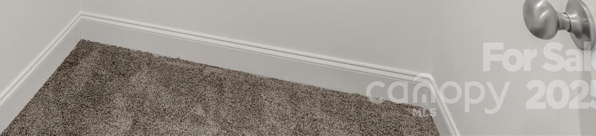 Photo #36