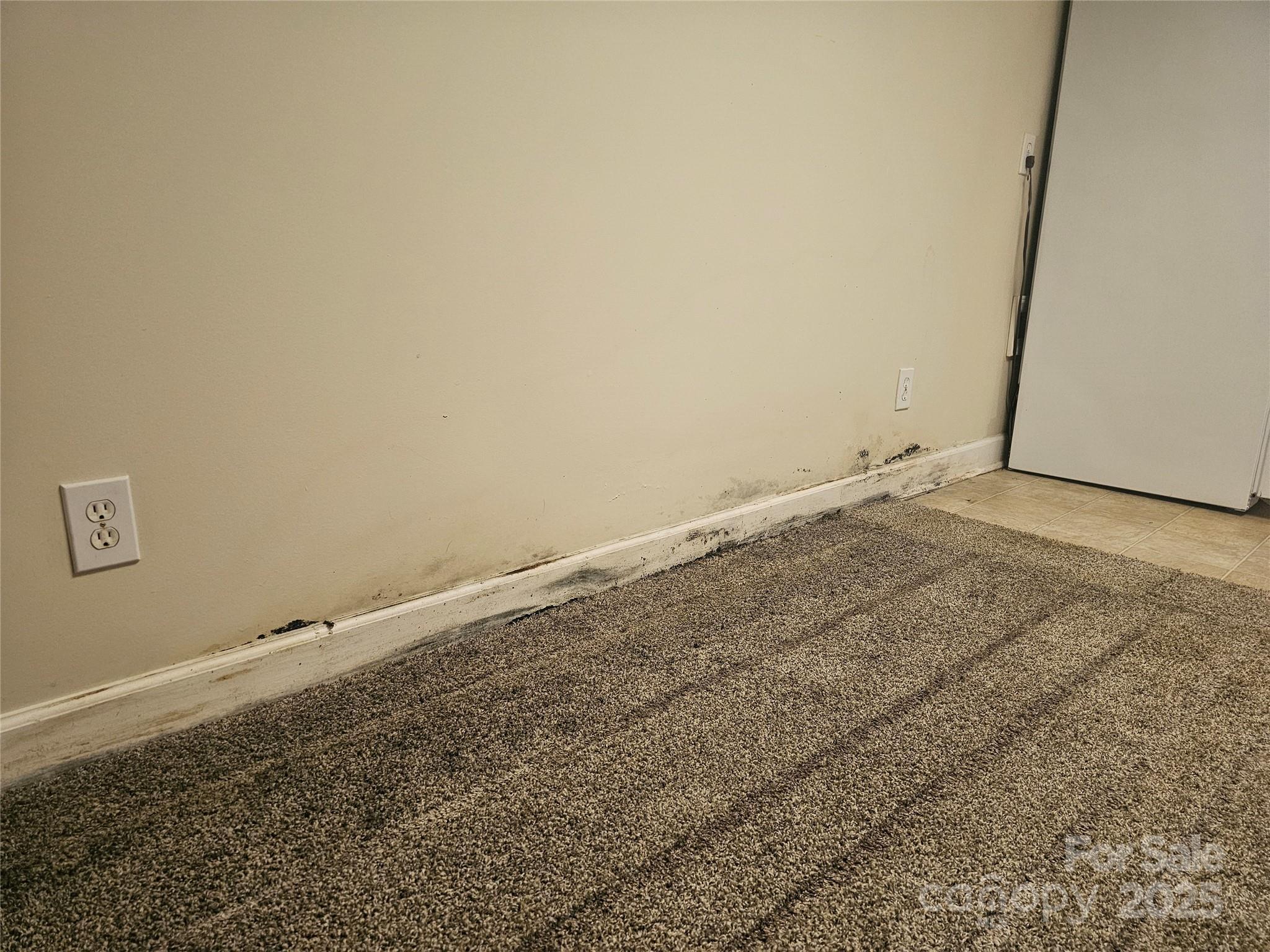 Photo #36