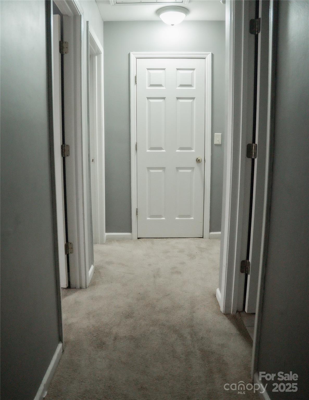 Photo #18