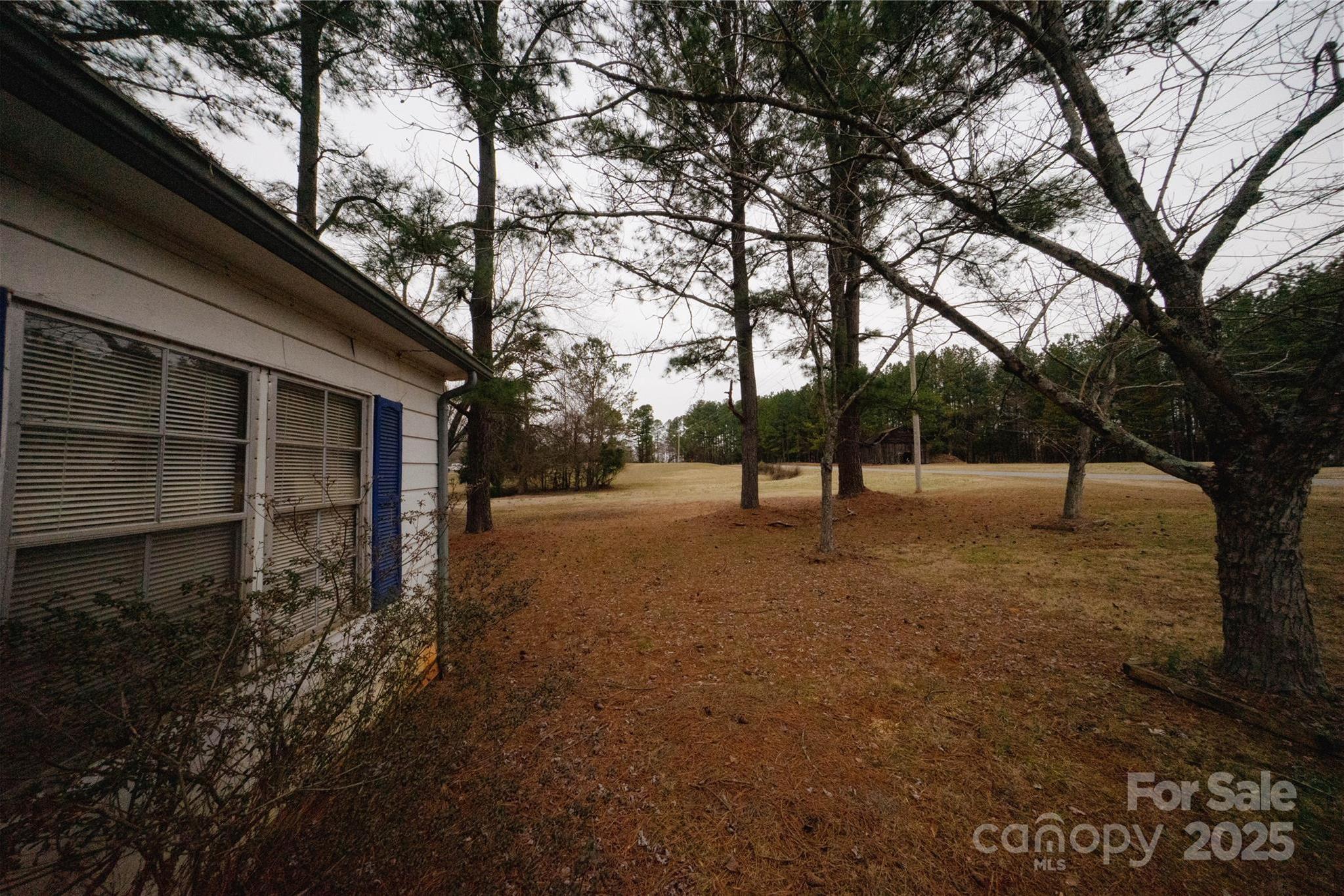 Photo #37
