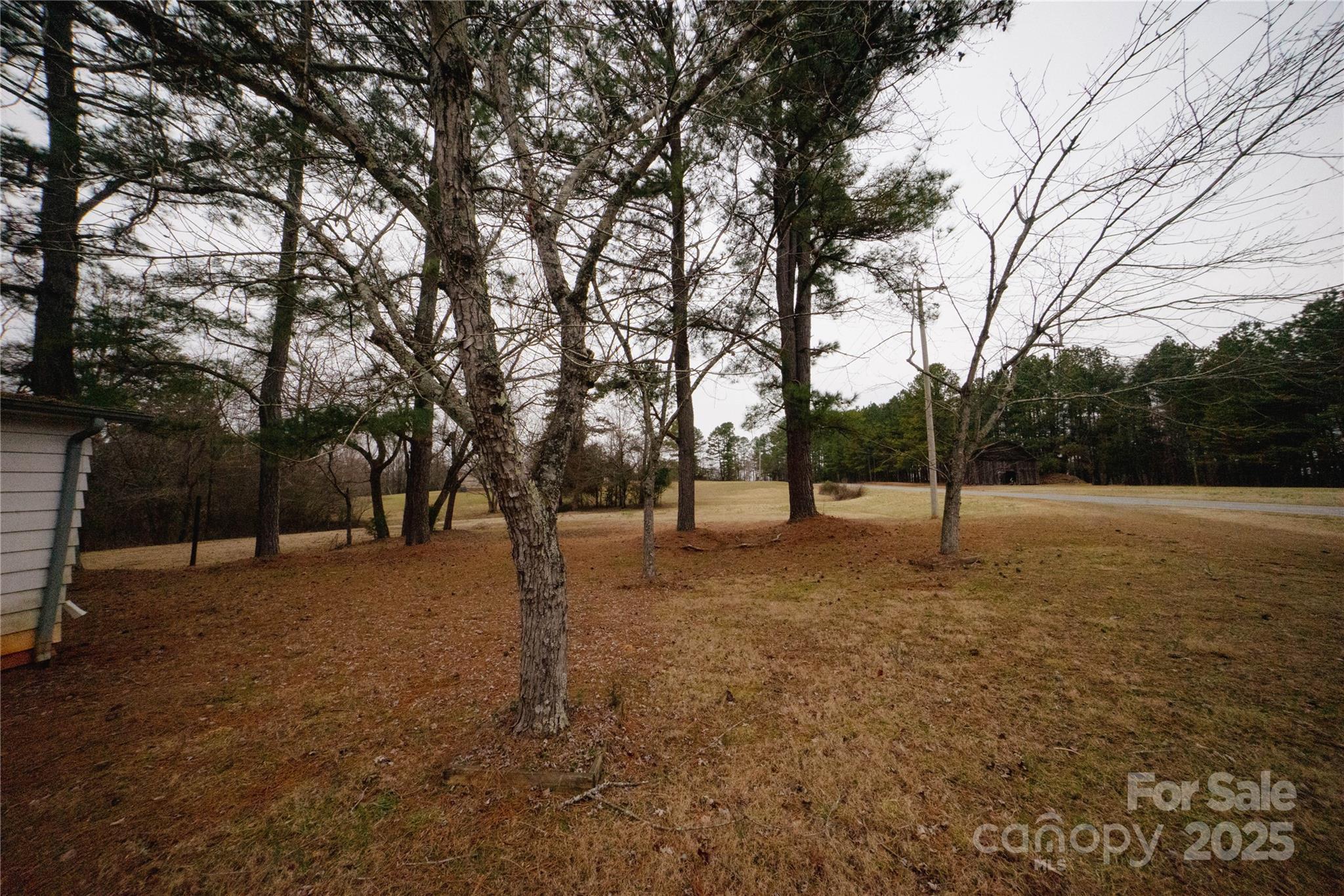 Photo #39