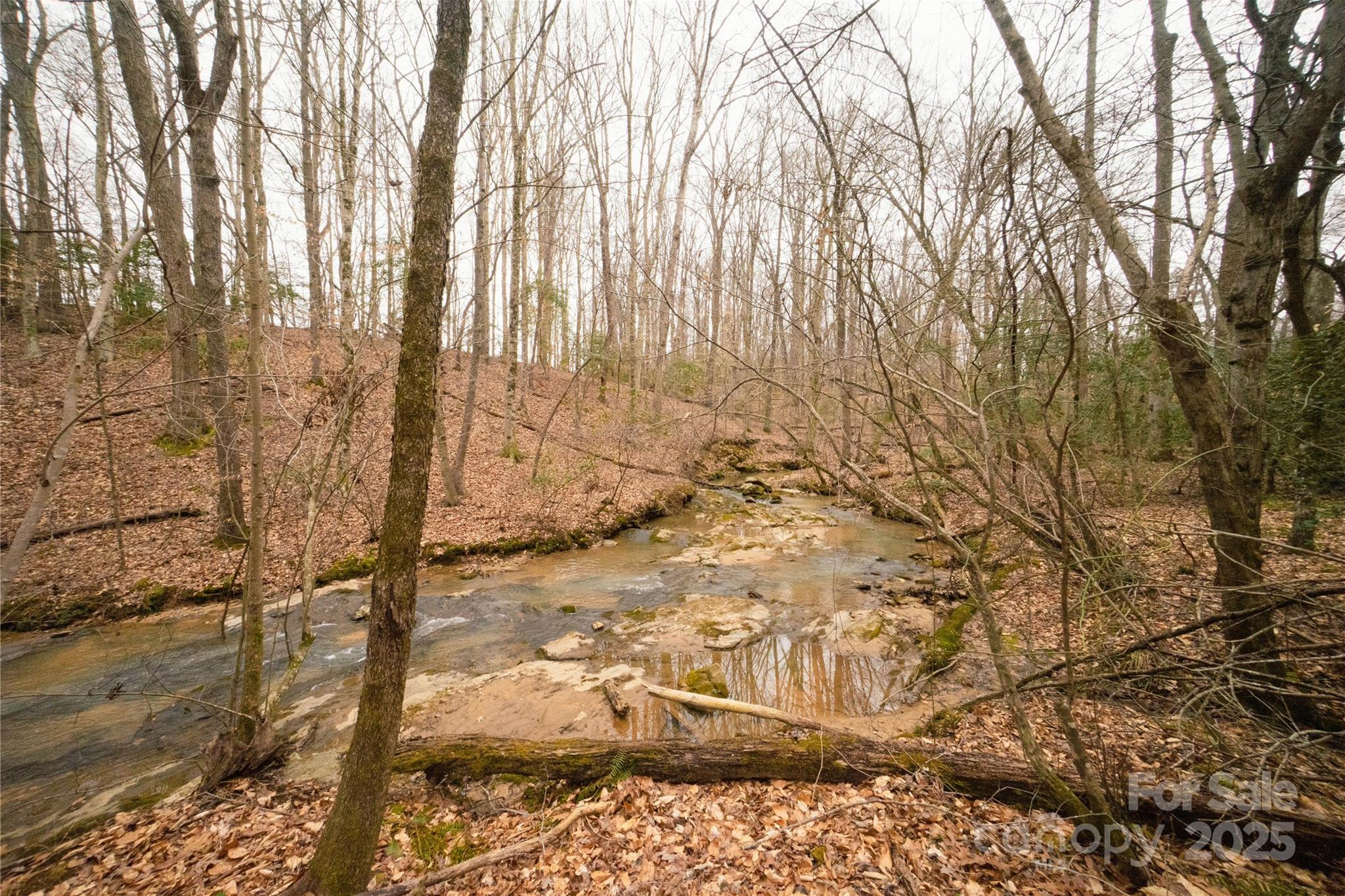Photo #24