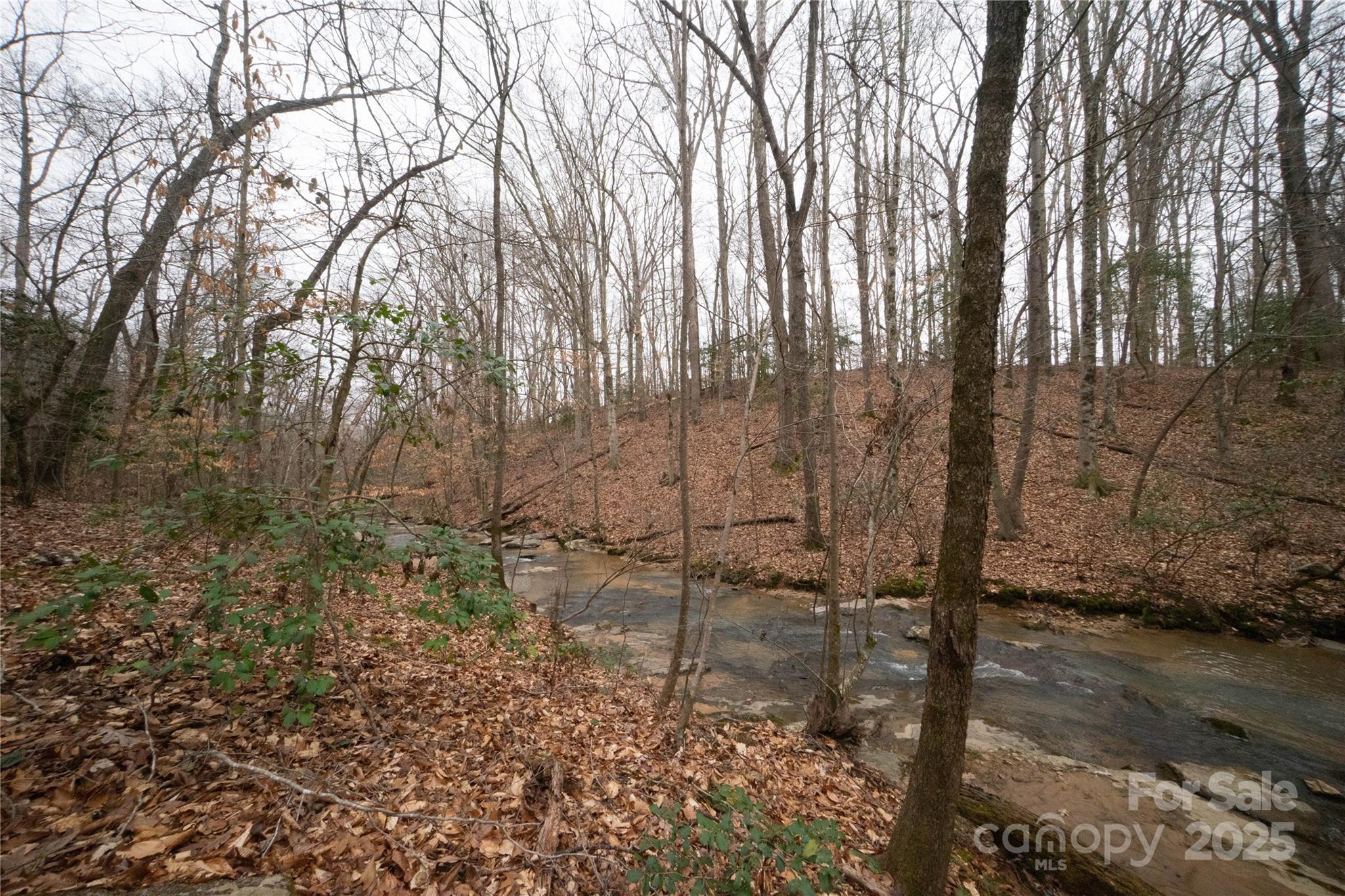 Photo #4